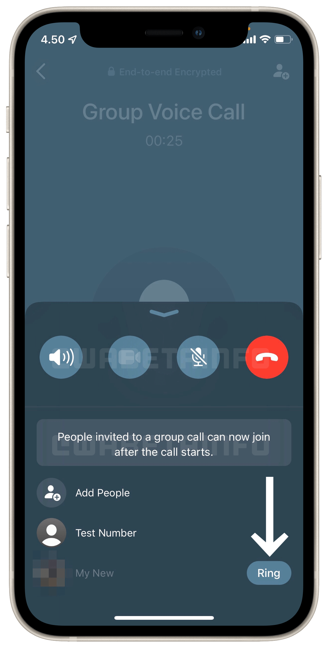 Nueva interfaz en las llamadas de WhatsApp