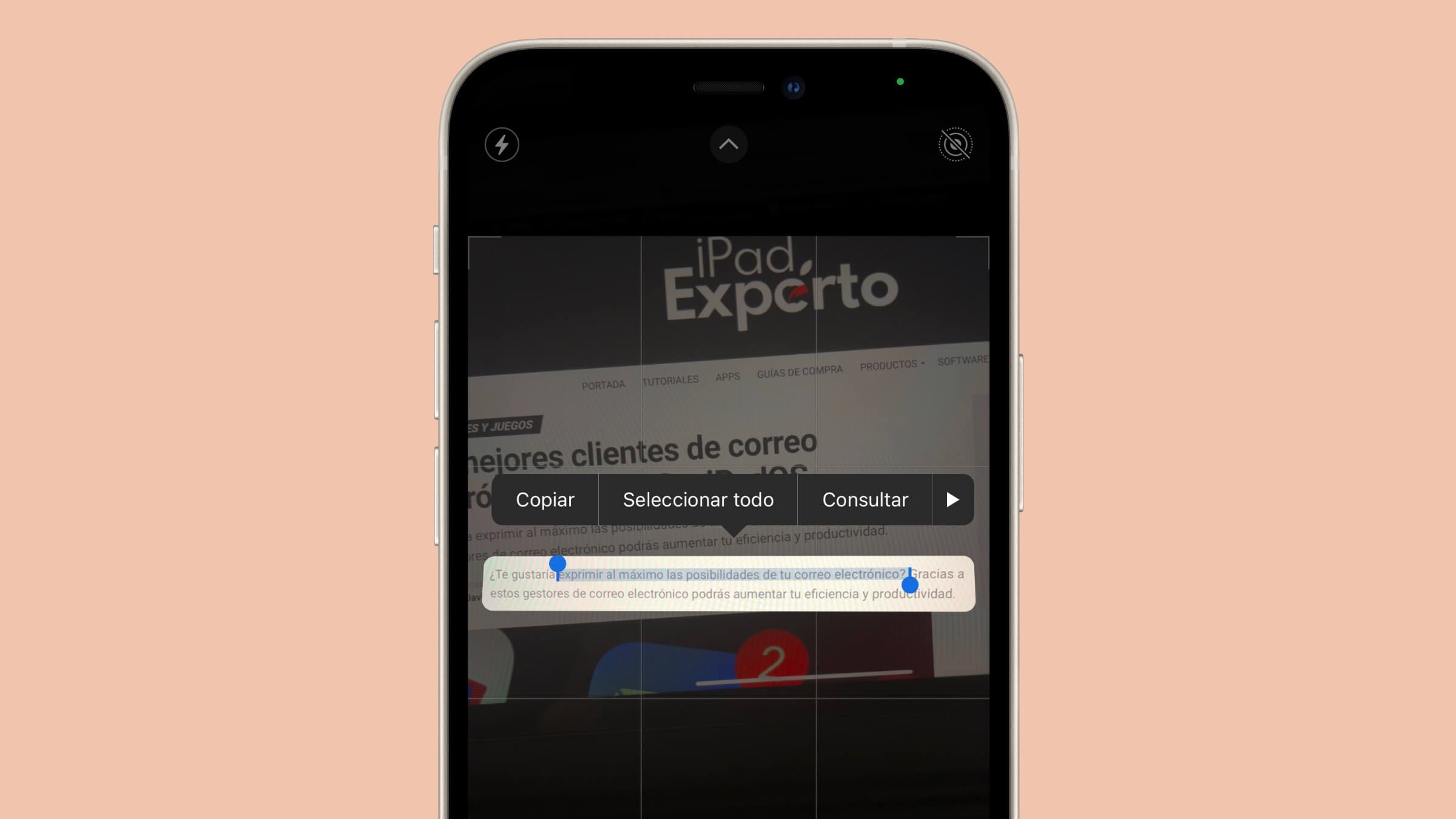 Escanear texto con la cámara del iPhone Escanear texto con la cámara del iPhone
