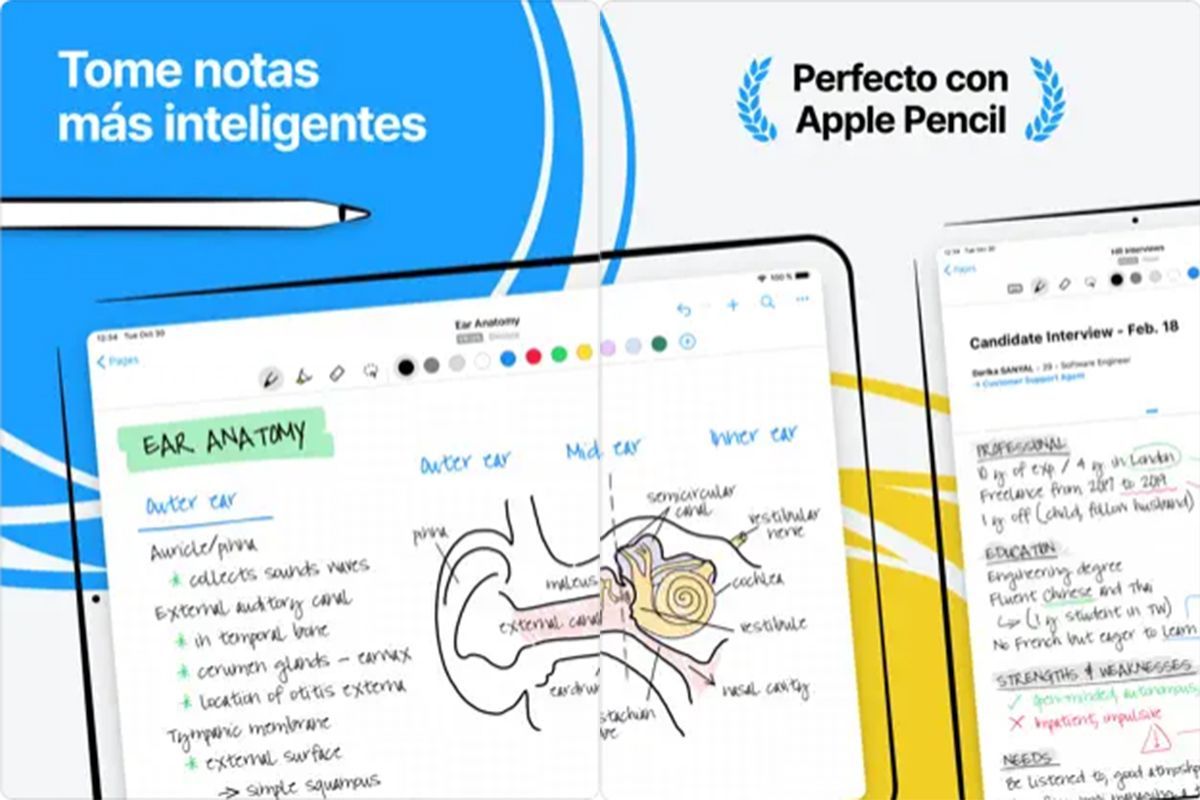 Nebo: app para tomar notas más inteligentes Nebo: app para tomar notas más inteligentes